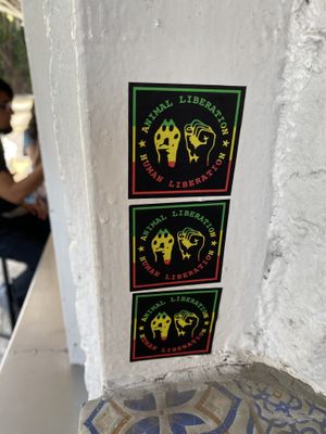   at Veganisimo Loncheria in Mexico City