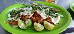 Gringa at Veganisimo Loncheria in Mexico City