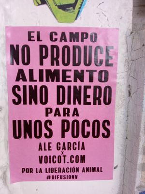  at Veganisimo Loncheria in Mexico City