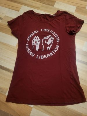  at Shoezuu in Gelsenkirchen