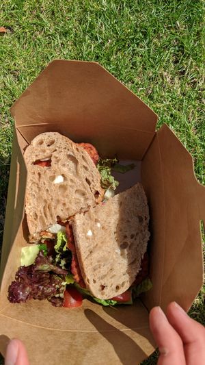 Tlt takeaway sandwich at Cascara in Bath