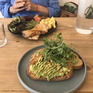 Avo and salad plate  at Cascara in Bath