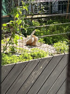   at Vegan Istanbul in Istanbul