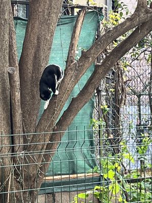   at Vegan Istanbul in Istanbul