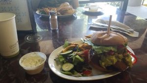 Food at Sanctuary Vegan Cafe in Knoxville