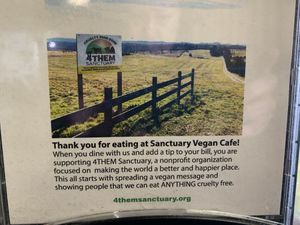 Sanctuary Vegan Cafe at Sanctuary Vegan Cafe in Knoxville