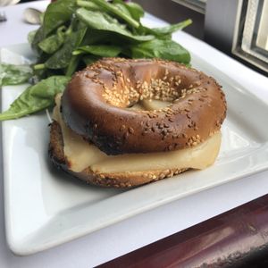 Bagel au cheddar at Vegano in Montreal