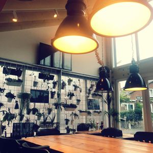 Interieur at Loods Lunge Restaurant in West-terschelling