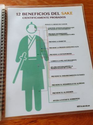 Vegan menu at V-Ramen - Alvaro Obregon in Mexico City