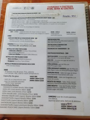 Vegan menu at V-Ramen - Alvaro Obregon in Mexico City