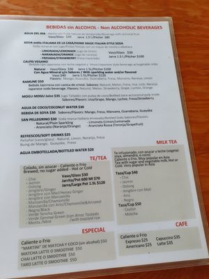 Vegan menu at V-Ramen - Alvaro Obregon in Mexico City