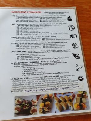 Vegan menu at V-Ramen - Alvaro Obregon in Mexico City