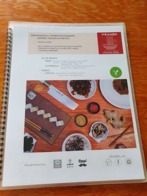 Vegan menu at V-Ramen - Alvaro Obregon in Mexico City