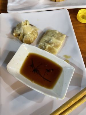 Dim sum and gyoza  at V-Ramen - Alvaro Obregon in Mexico City