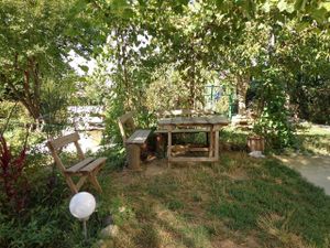 Garden view at CostelHostel at CostelHostel in Rosu