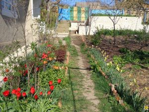 Spring time, garden view. at CostelHostel in Rosu
