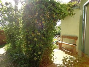 Garden view, spring. at CostelHostel in Rosu