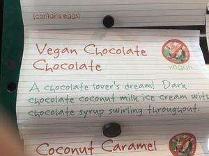 Vegan Ice Cream flavors at Lick Honest Ice Creams in San Antonio