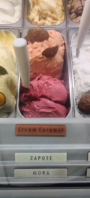 Zapote & Blackberry 🌱 at Gelateria Tramonti in Cartagena