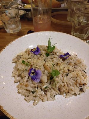 Mushroom risotto at Four One Six (416) in Tel Aviv