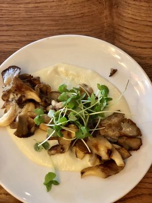 Mushroom chicken  at Four One Six (416) in Tel Aviv