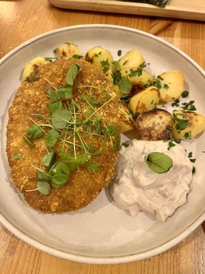 Schnitzel  at Balans Bistro in Bratislava