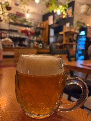 🍺 at Balans Bistro in Bratislava