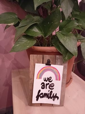  at Balans Bistro in Bratislava