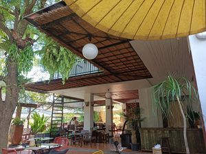 Restaurant at Reform Kafe in Chiang Mai