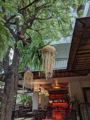  at Reform Kafe in Chiang Mai