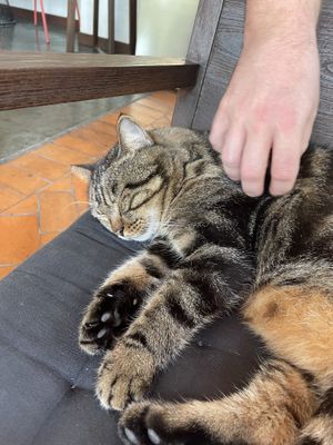   at Reform Kafe in Chiang Mai