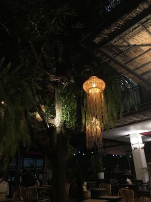   at Reform Kafe in Chiang Mai