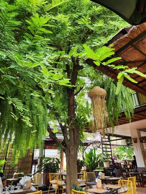  at Reform Kafe in Chiang Mai