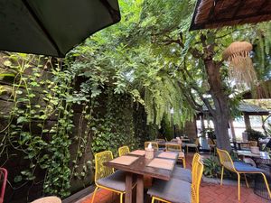 Vibe   at Reform Kafe in Chiang Mai