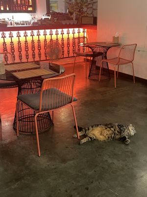   at Reform Kafe in Chiang Mai