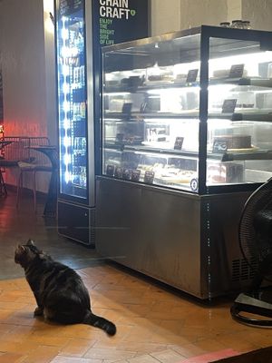   at Reform Kafe in Chiang Mai