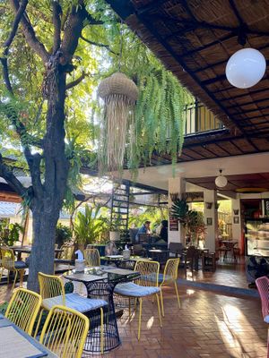   at Reform Kafe in Chiang Mai