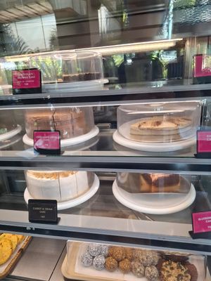 Cake at Reform Kafe in Chiang Mai