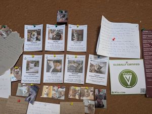  at Reform Kafe in Chiang Mai