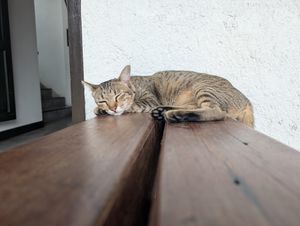  at Reform Kafe in Chiang Mai