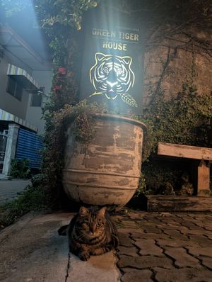  at Reform Kafe in Chiang Mai