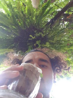  at Reform Kafe in Chiang Mai