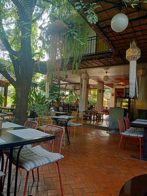  at Reform Kafe in Chiang Mai
