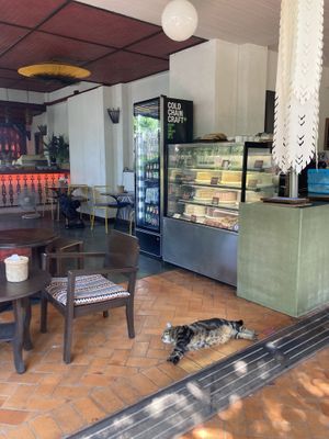   at Reform Kafe in Chiang Mai