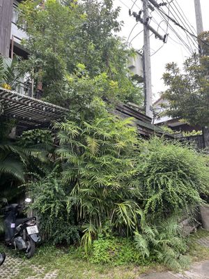 Outside the main entrancee  at Reform Kafe in Chiang Mai