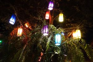 Night time atmosphere and lighting  at Reform Kafe in Chiang Mai