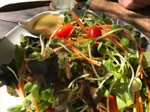 Garden Salad  at Reform Kafe in Chiang Mai