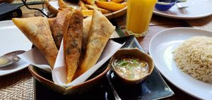 Fried spring rolls at Reform Kafe in Chiang Mai