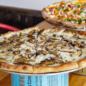 DMT! Truffle and Mushroom Pizza! at Piante Pizzeria in Breckenridge