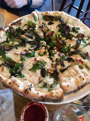 White pie. My new favorite!!  at Piante Pizzeria in Breckenridge